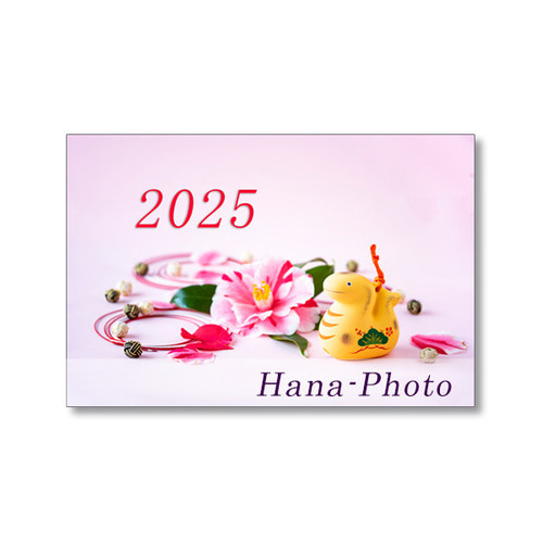 1665) 年賀状にも使える来年の干支 巳のカード ポストカード5枚組