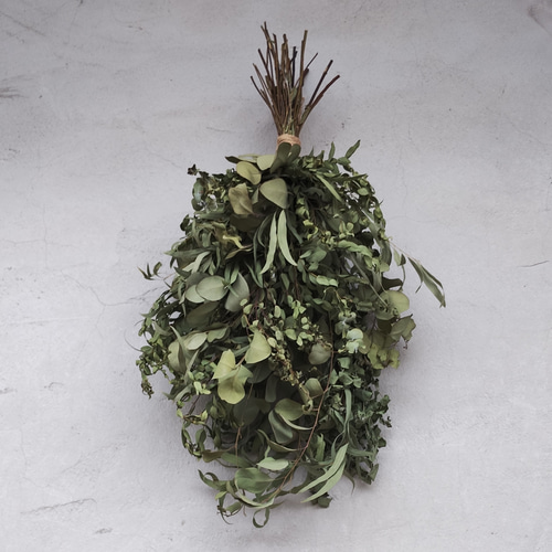 ユーカリ農家が束ねるユーカリスワッグ グリーン ドライフラワー  