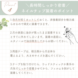  第11張的照片