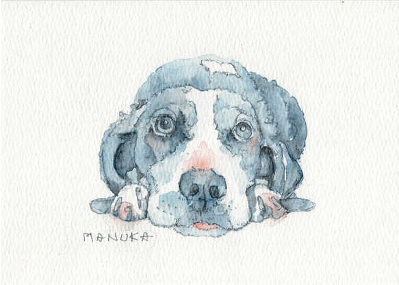 ◼︎データ納品◼︎ うちの子似顔絵/ペットポートレート 犬猫イラスト
