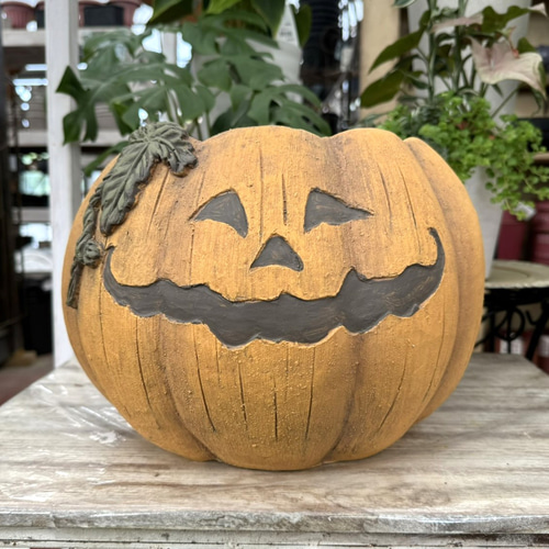 ハロウィン 鉢 ジャックオーランタン かぼちゃ パンプキン イエロー 鉢