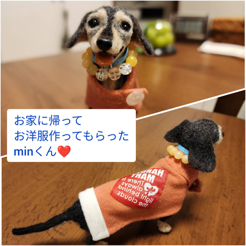 羊毛フェルト犬　おと♡ 犬のオーダーメイド】JOY 羊毛フェルト | @yumiran6 等身大ちゃん