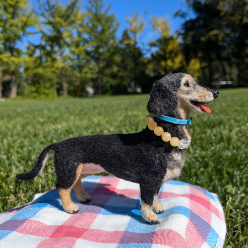 羊毛フェルト犬　おと♡ シニアの愛おしさ】minくん❤️【鼻先からお尻まで13.5c】羊毛フェルト