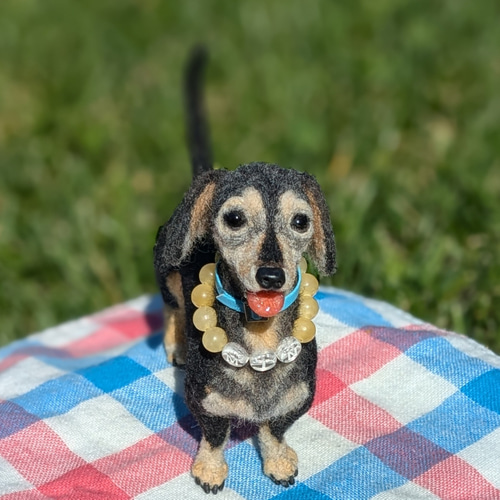 シニアの愛おしさ】minくん❤️【鼻先からお尻まで13.5c】羊毛フェルト