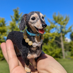 シニアの愛おしさ】minくん❤️【鼻先からお尻まで13.5c】羊毛フェルト