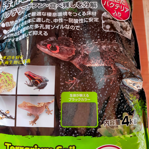 隠れ家付き!苔テラリウム 観葉植物 溶岩石レイアウト 生体飼育 隠れ家付き!苔テラリウム 観葉植物 溶岩石レイアウト 生体飼育