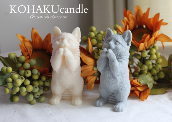 10月の新作】猫好きさん必見のレディーキャットキャンドル