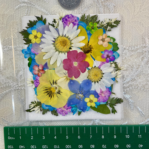 押し花　美品 ☆押し花素材 No.1色とりどりmix押花 赤 青 黄色 緑 レジン