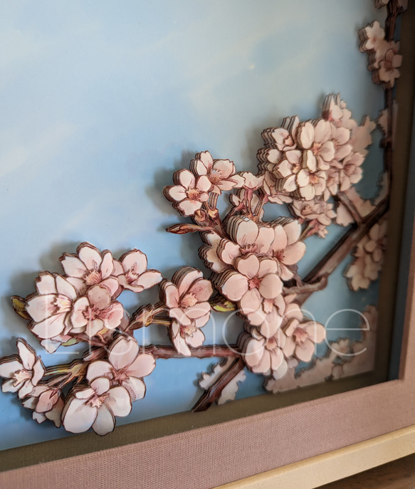 【完成品・一点もの】シャドーボックス：桜 2枚目の画像