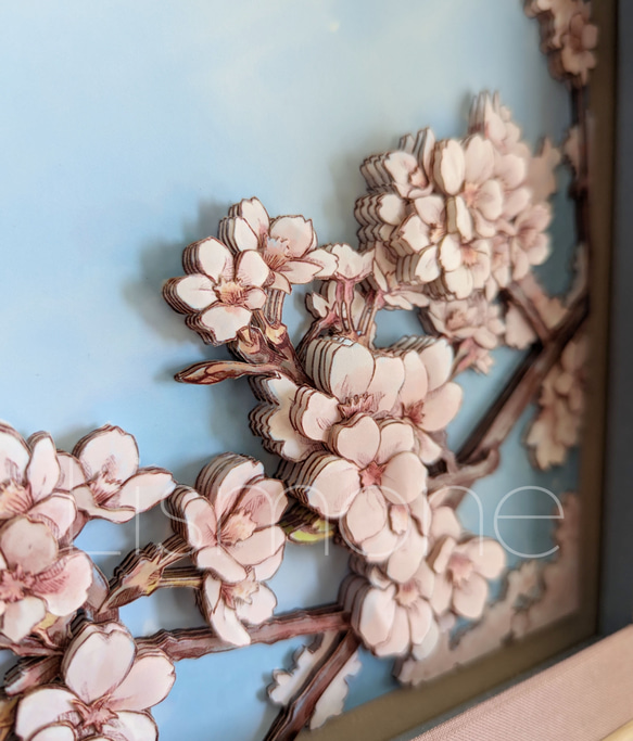 【完成品・一点もの】シャドーボックス：桜 9枚目の画像