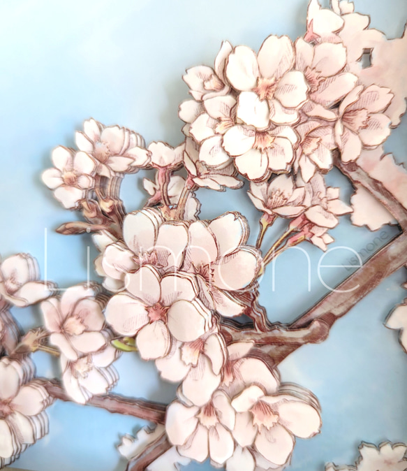 【完成品・一点もの】シャドーボックス：桜 10枚目の画像