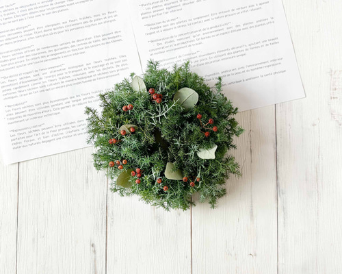 20cm 針葉樹と赤い実のクリスマスシンプルフレッシュリース