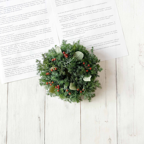 針葉樹と赤い実のクリスマスリース 20cm 針葉樹と赤い実のクリスマスシンプルフレッシュリース