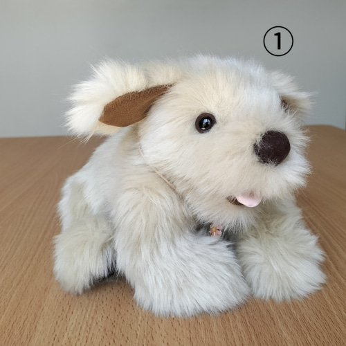 パトラン　ぬいぐるみ　犬　 ゴールデンレトリバー パトラン ぬいぐるみ 犬 ゴールデンレトリバー