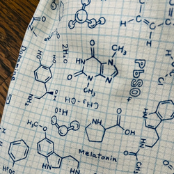 ユニーク！化学反応式の巾着 2枚目の画像
