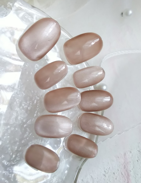 フリント 超微粒子マグネットジェルカラーネイルチップ短めシンプル