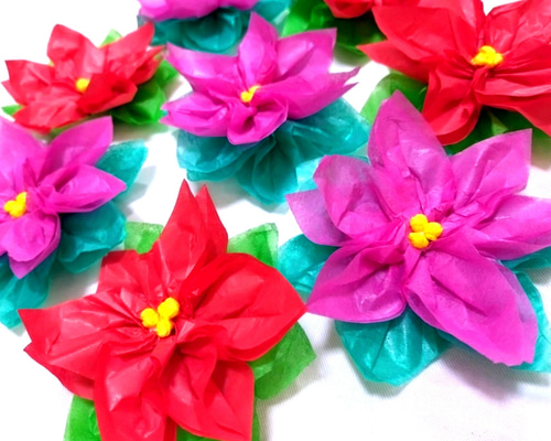 パキラ♡ お正月飾りポインセチア 葡萄 彼岸花 おまとめ mqdefault.jpg