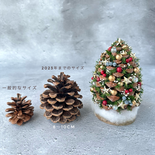 松ぼっくりの星降るクリスマスツリー 3個セット プリザーブドフラワー  