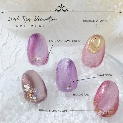 フェラー 超微粒子マグネットジェルカラーネイルチップ短めシンプル
