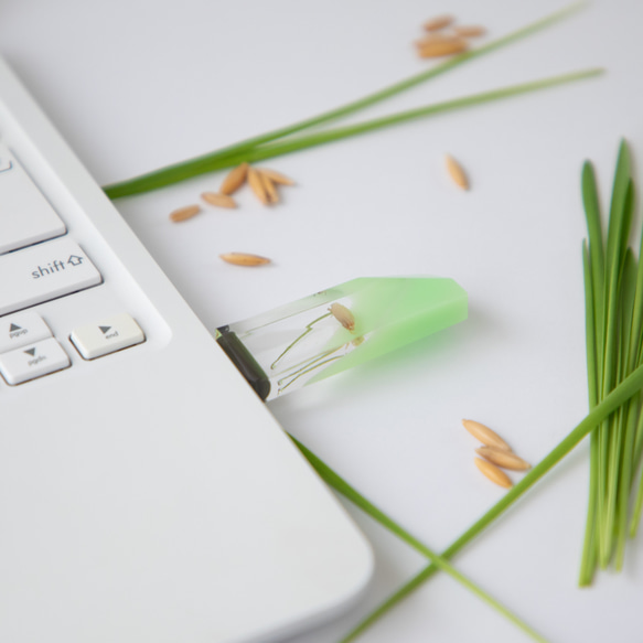 ねこ草の芽の透明USBメモリ【Catgrass-RonRon】(32,64GB) 透明USBメモリ猫草Ver. 10枚目の画像