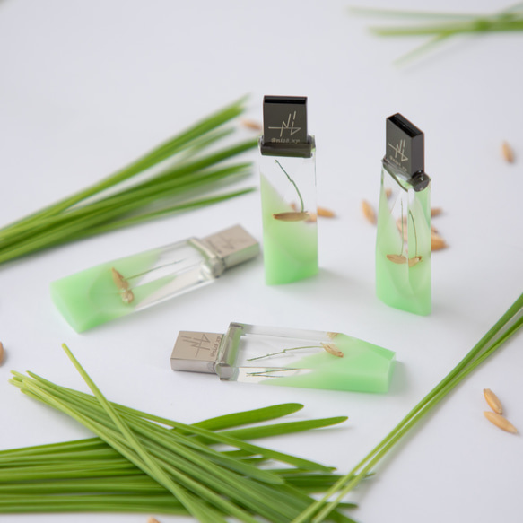 ねこ草の芽の透明USBメモリ【Catgrass-RonRon】(32,64GB) 透明USBメモリ猫草Ver. 4枚目の画像
