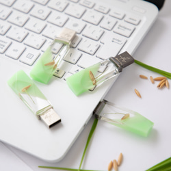 ねこ草の芽の透明USBメモリ【Catgrass-RonRon】(32,64GB) 透明USBメモリ猫草Ver. 6枚目の画像