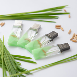 ねこ草の芽の透明USBメモリ【Catgrass-RonRon】(32,64GB) 透明USBメモリ猫草Ver. 2枚目の画像