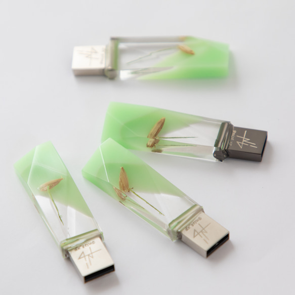 ねこ草の芽の透明USBメモリ【Catgrass-RonRon】(32,64GB) 透明USBメモリ猫草Ver. 17枚目の画像