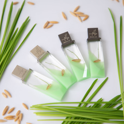 ねこ草の芽の透明USBメモリ【Catgrass-RonRon】(32,64GB) 透明USBメモリ猫草Ver. 1枚目の画像