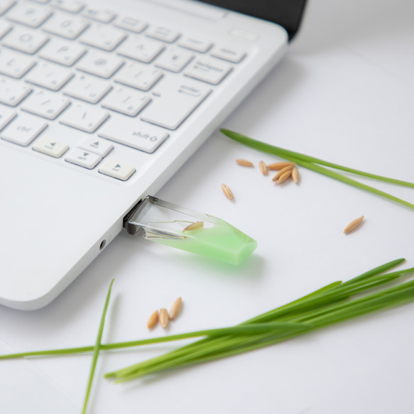 ねこ草の芽の透明USBメモリ【Catgrass-RonRon】(32,64GB) 透明USBメモリ猫草Ver. 7枚目の画像