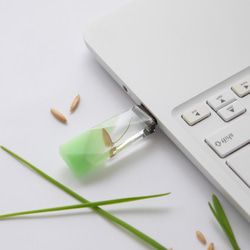 ねこ草の芽の透明USBメモリ【Catgrass-RonRon】(32,64GB) 透明USBメモリ猫草Ver. 11枚目の画像