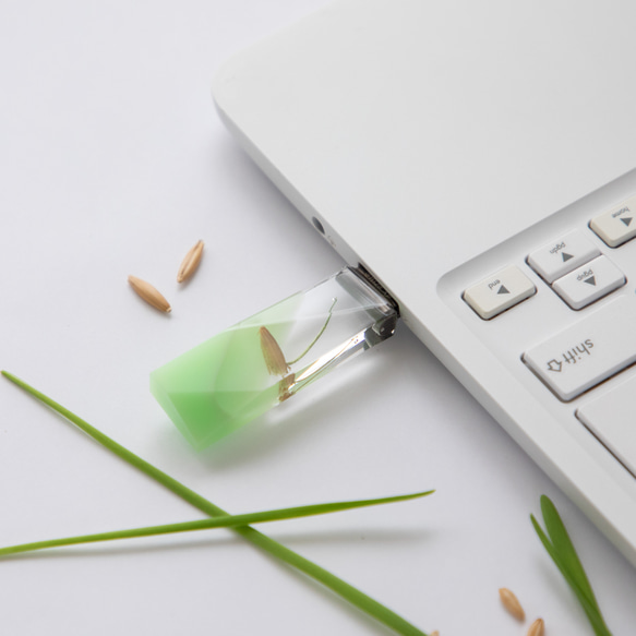 ねこ草の芽の透明USBメモリ【Catgrass-RonRon】(32,64GB) 透明USBメモリ猫草Ver. 11枚目の画像