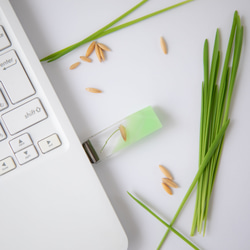 ねこ草の芽の透明USBメモリ【Catgrass-RonRon】(32,64GB) 透明USBメモリ猫草Ver. 8枚目の画像