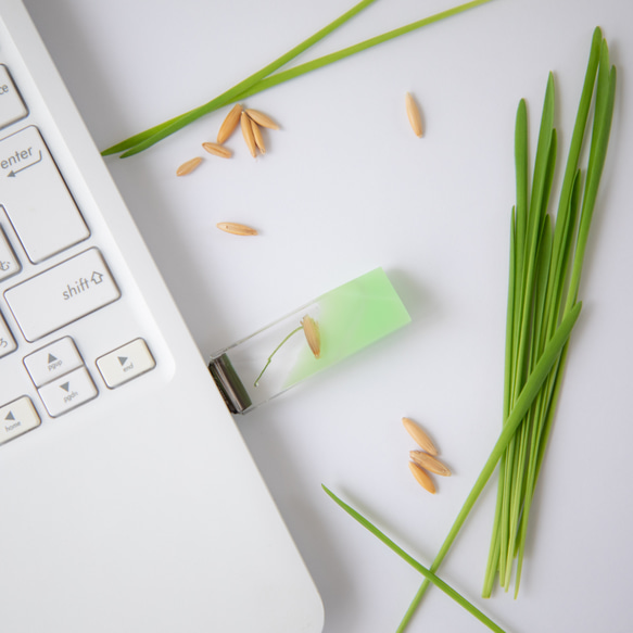 ねこ草の芽の透明USBメモリ【Catgrass-RonRon】(32,64GB) 透明USBメモリ猫草Ver. 8枚目の画像