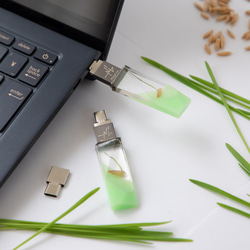 ねこ草の芽の透明USBメモリ【Catgrass-RonRon】(32,64GB) 透明USBメモリ猫草Ver. 13枚目の画像