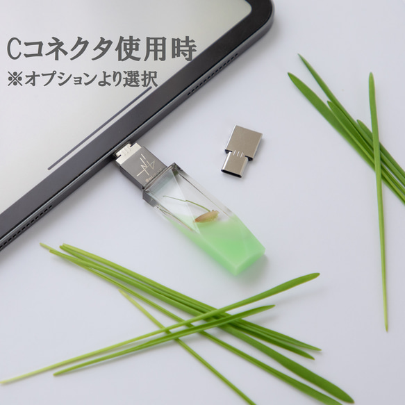 ねこ草の芽の透明USBメモリ【Catgrass-RonRon】(32,64GB) 透明USBメモリ猫草Ver. 12枚目の画像
