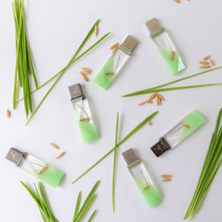 ねこ草の芽の透明USBメモリ【Catgrass-RonRon】(32,64GB) 透明USBメモリ猫草Ver. 14枚目の画像