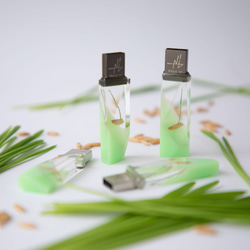 ねこ草の芽の透明USBメモリ【Catgrass-RonRon】(32,64GB) 透明USBメモリ猫草Ver. 3枚目の画像