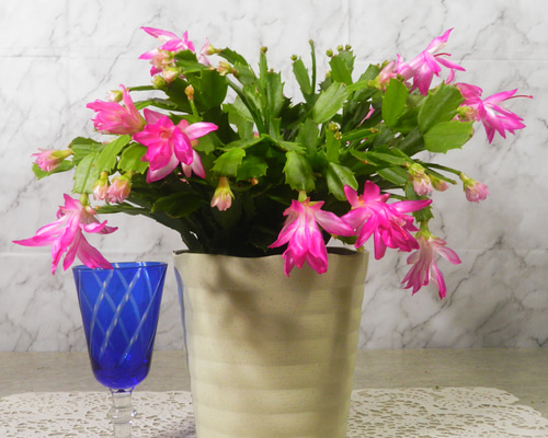 2570f722e0166da3d1d46f47109cb2