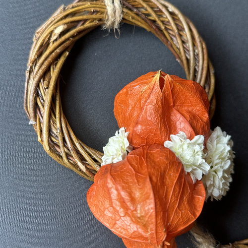 専用＊winter＊コットン＆ホオズキ ドライフラワーリース