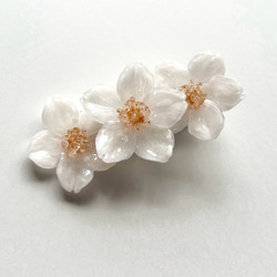 本物の桜 桜の花びら耳飾り(ピアスorイヤリング)♢Sakura white ピアス