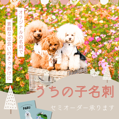 ペット名刺 うちの子名刺 セミオーダー 100枚｜ライトブルーの