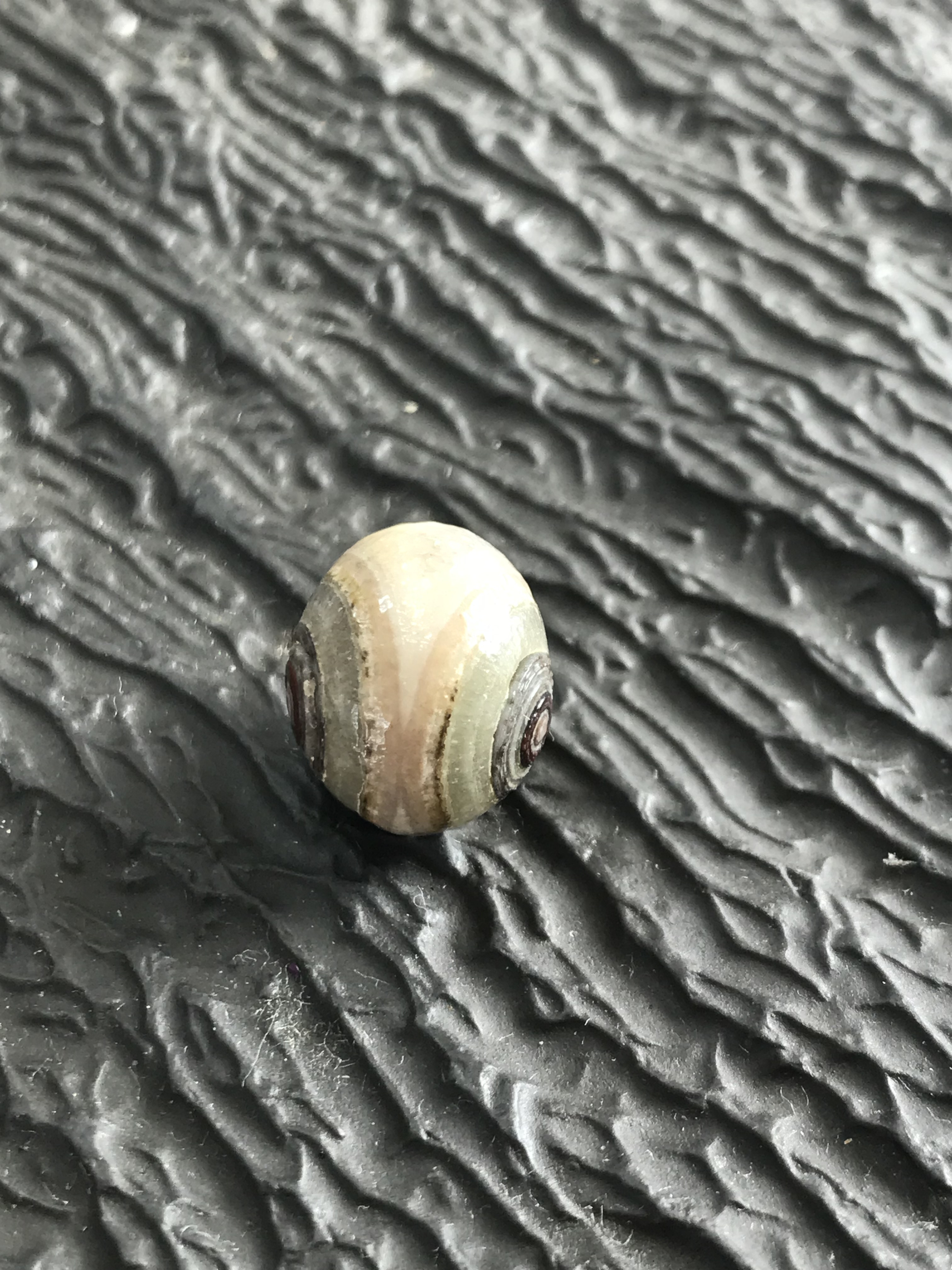 ゴビ石−1306 眼石　原石　『トンボの目』