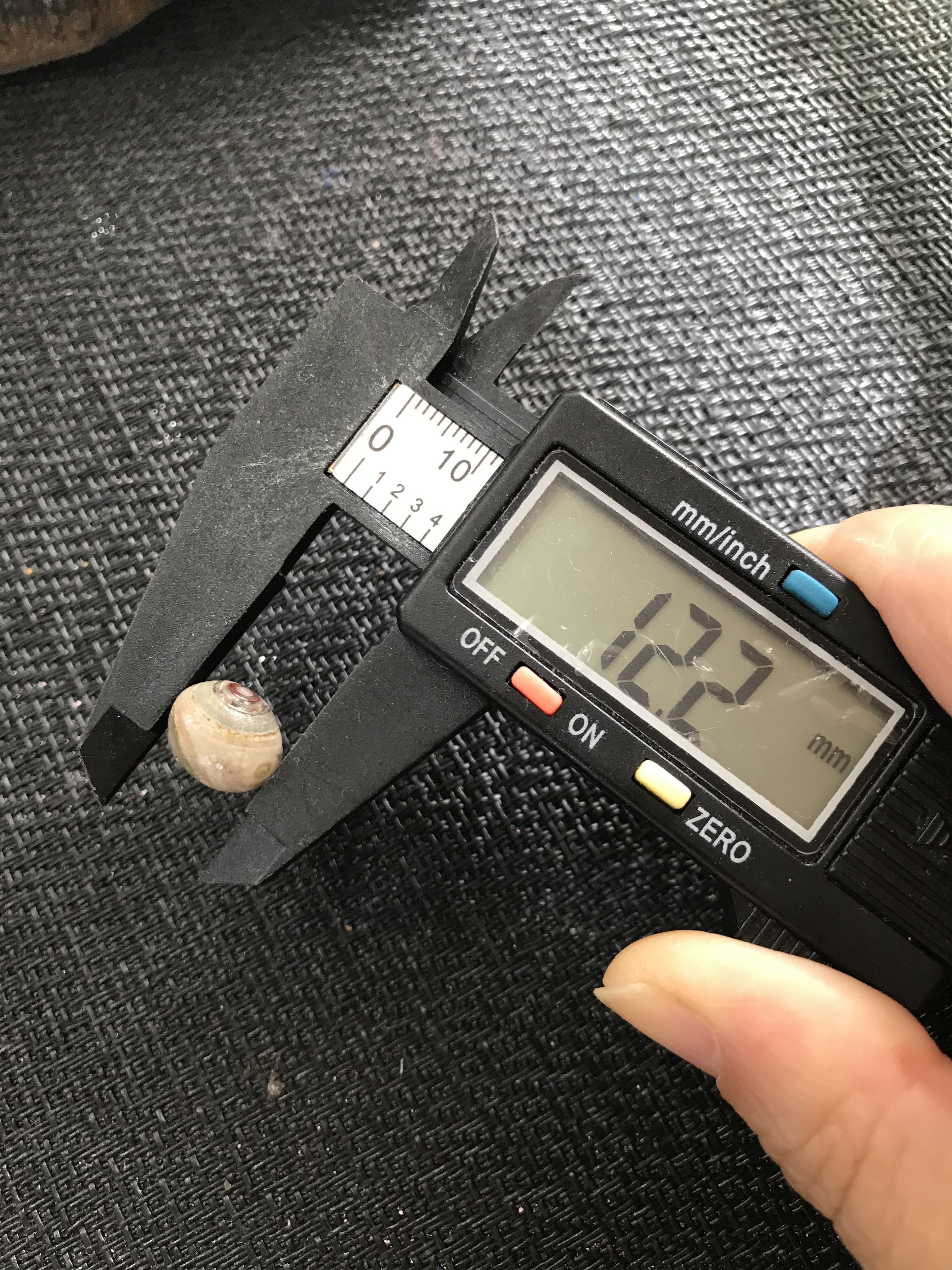 ゴビ石−1306 眼石　原石　『トンボの目』