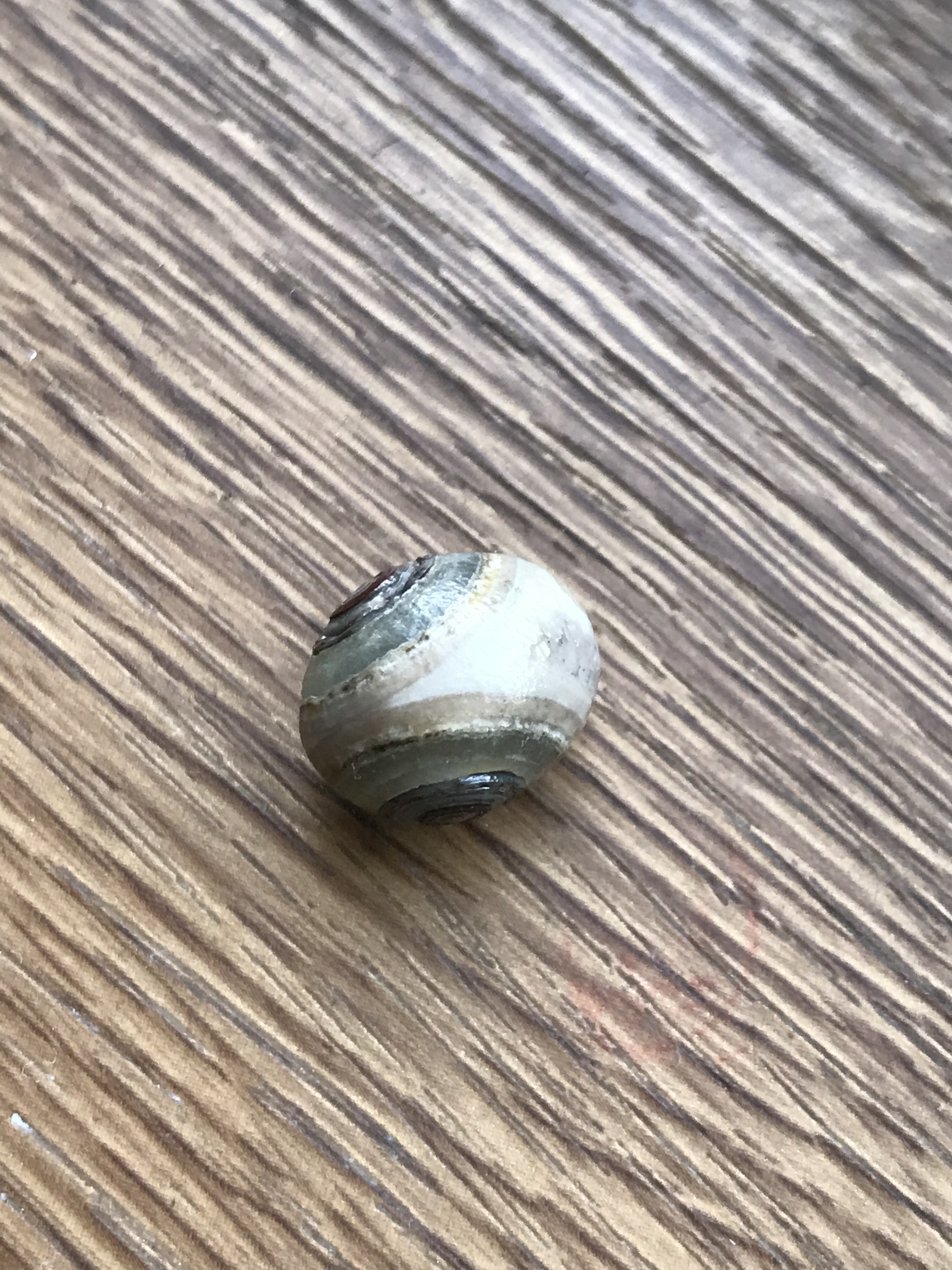 ゴビ石−1306 眼石　原石　『トンボの目』