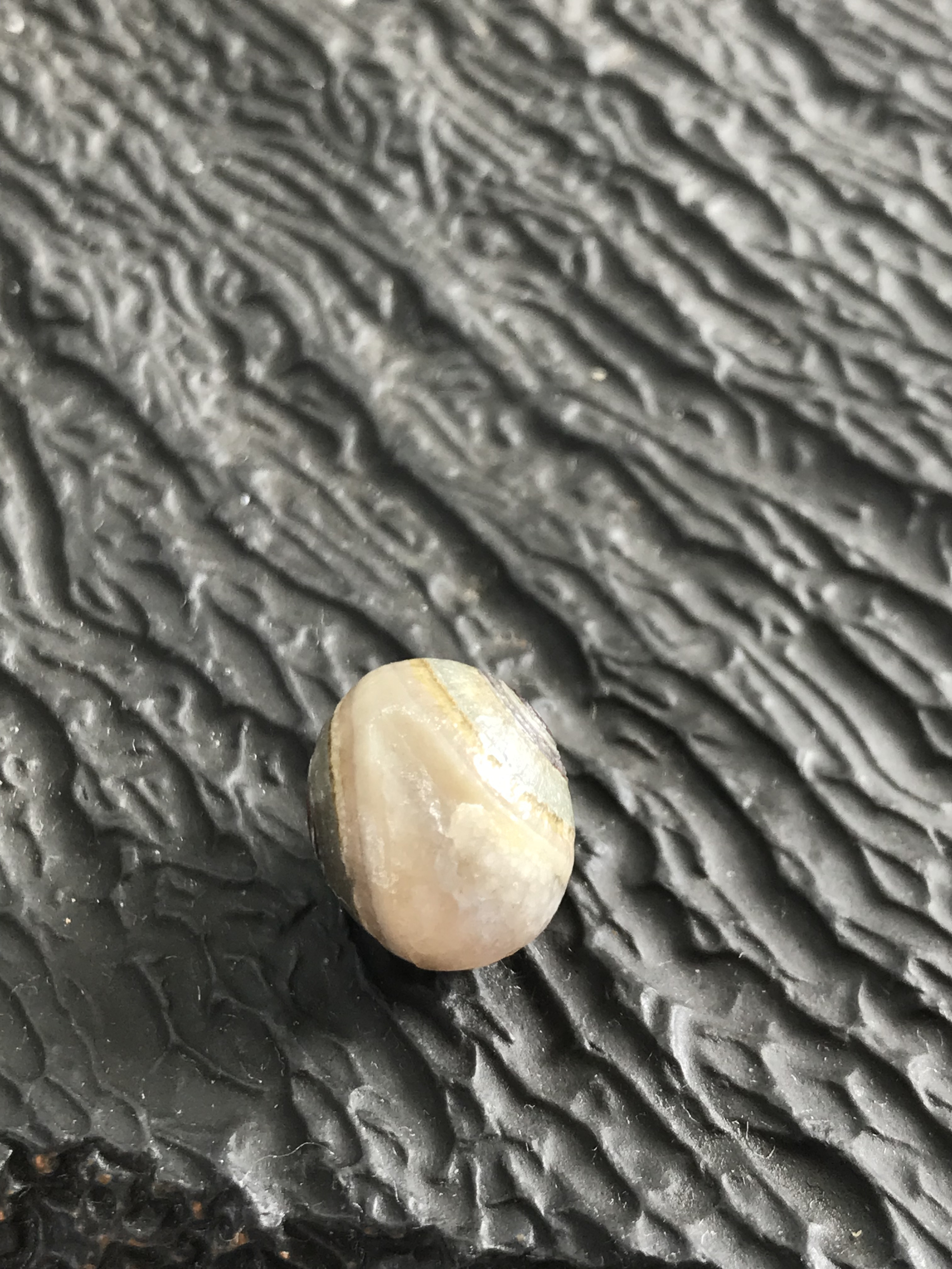 ゴビ石−1306 眼石　原石　『トンボの目』