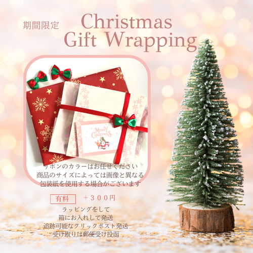 ☆Mサイズのクッキーアンとステラルー☆Sサイズのステラルー☆クリスマス☆ ☆Mサイズのクッキーアンとステラルー☆Sサイズのステラルー