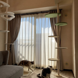 キャットタワー テラスコンパクトに新色追加！　個性で差のつく選べるポイントカラーバージョン！ 15枚目の画像