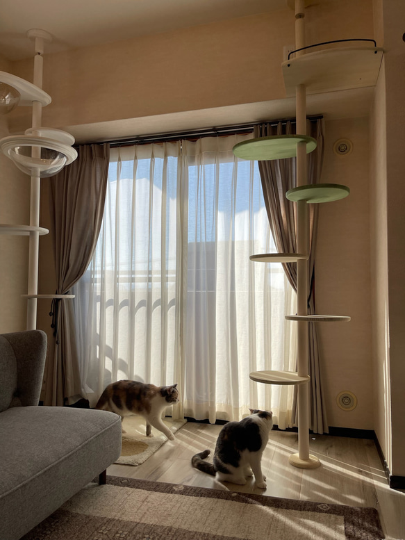 キャットタワー テラスコンパクトに新色追加！　個性で差のつく選べるポイントカラーバージョン！ 15枚目の画像