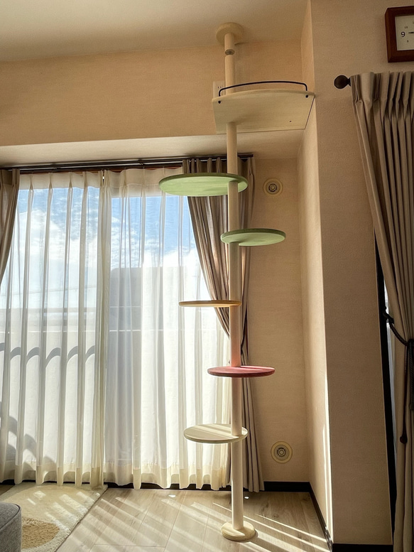 キャットタワー テラスコンパクトに新色追加！　個性で差のつく選べるポイントカラーバージョン！ 17枚目の画像